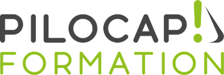 Pilocap Formation